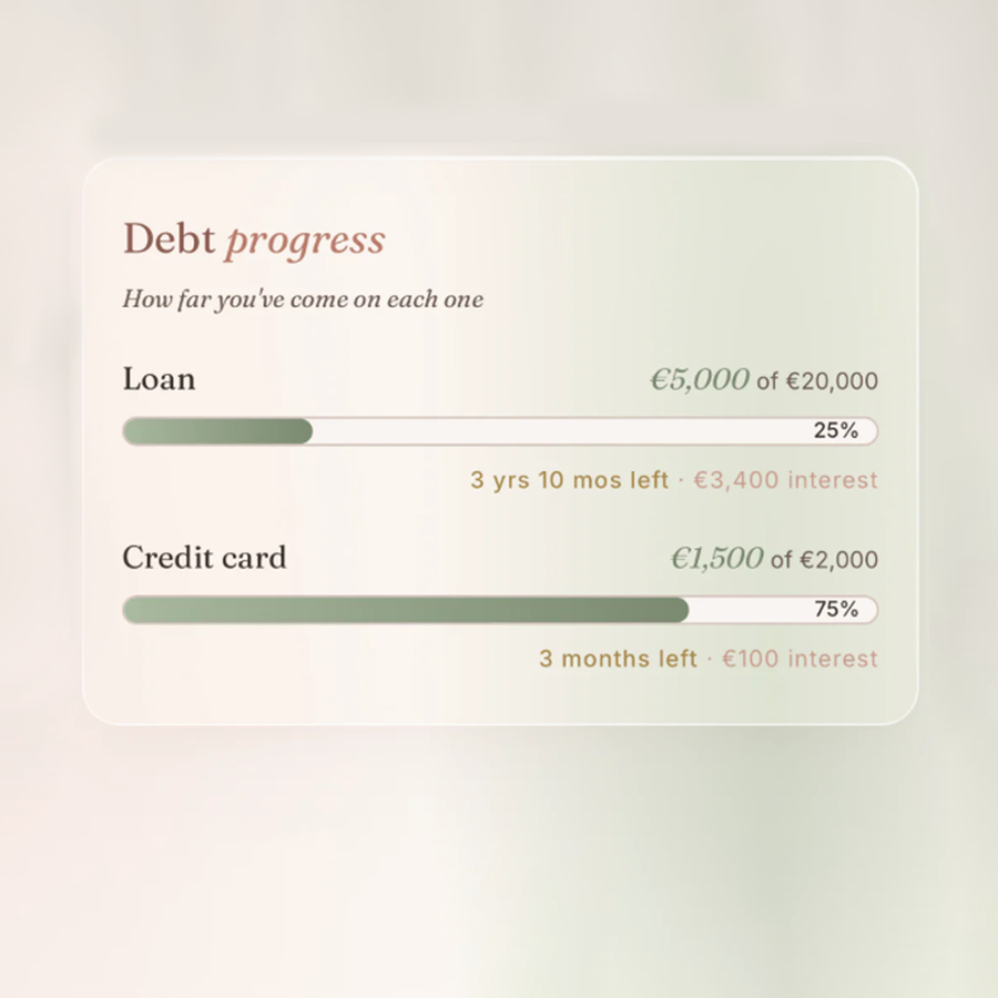 Debt payoff tracker