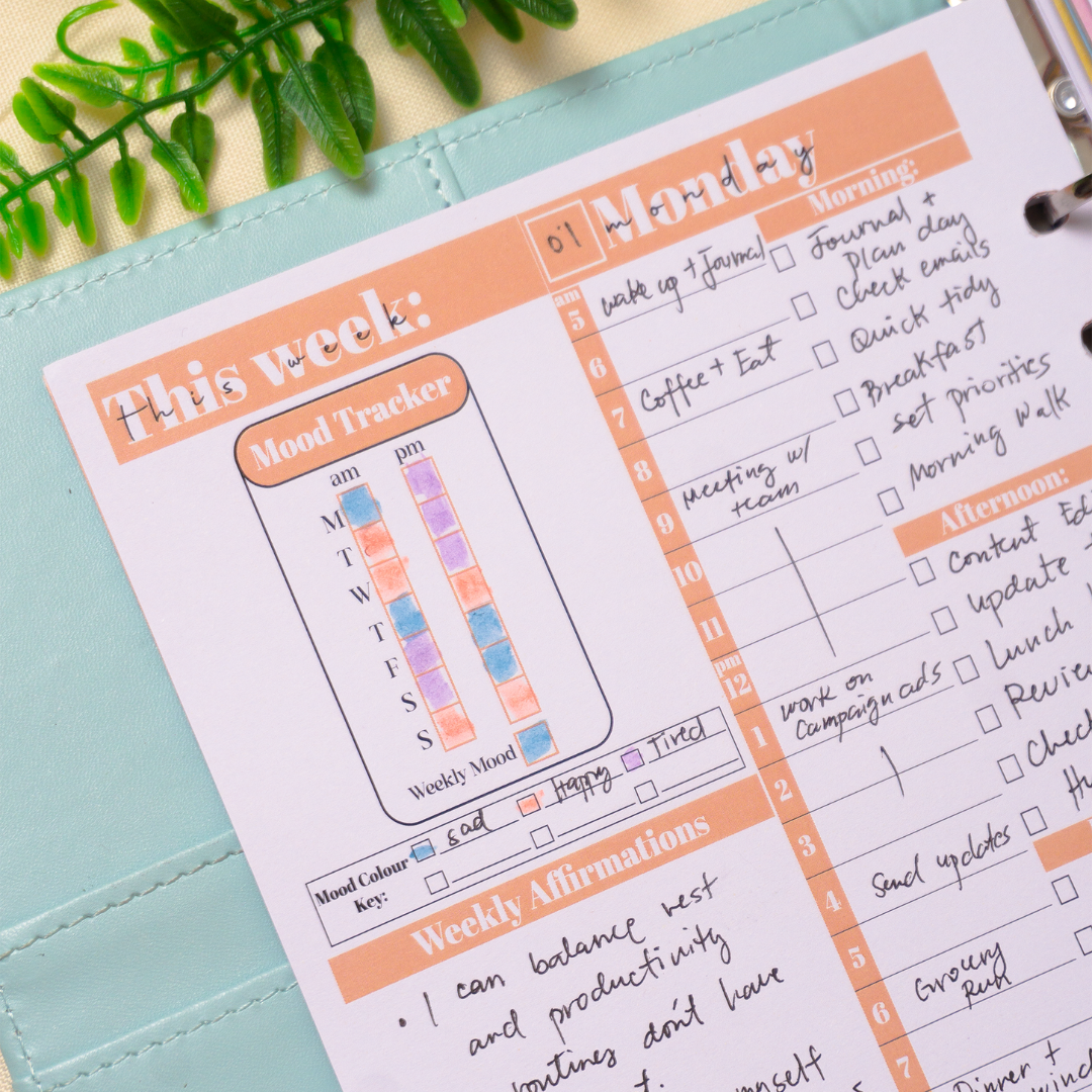 The Life Designer 2.0 - Undated Life Planner Binder (PREORDER)