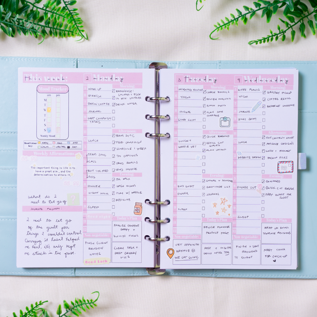 The Life Designer 2.0 - 6 Month Refill Insert Pack - GirlGottaChange