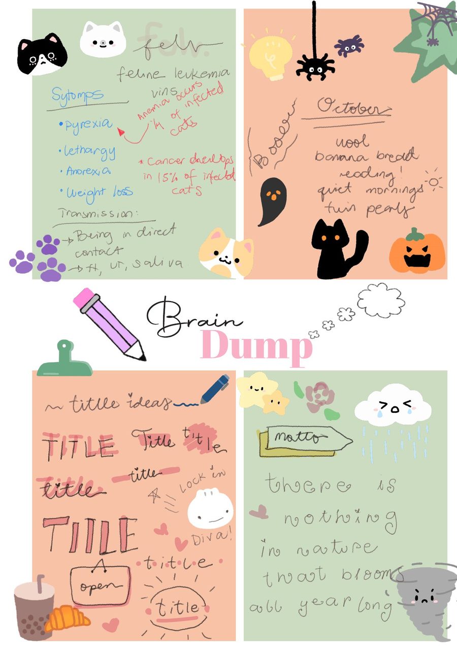 Brain Dump